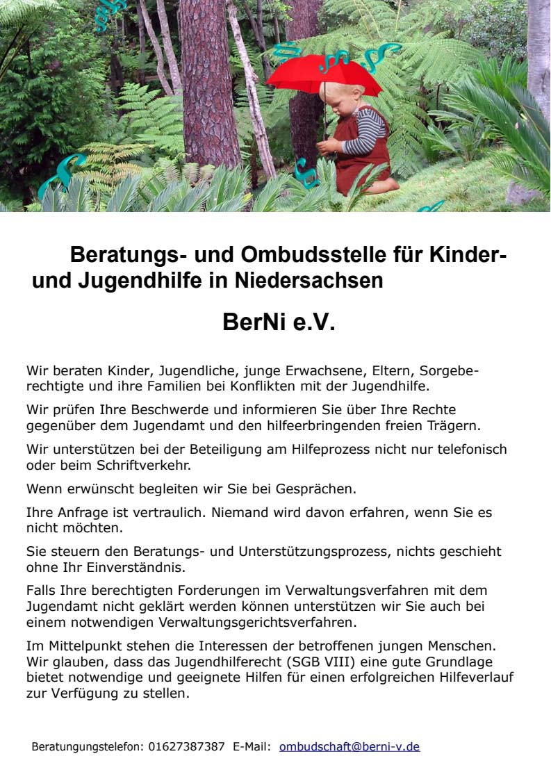 Flyer S1 Bild